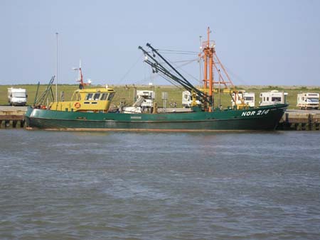 P5130006