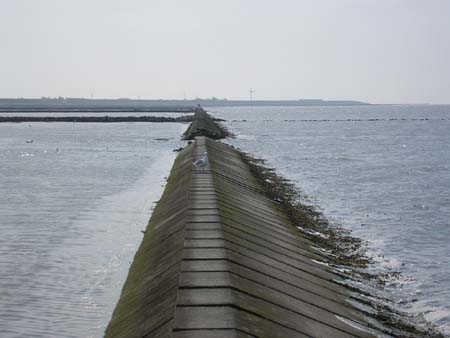 P5150117